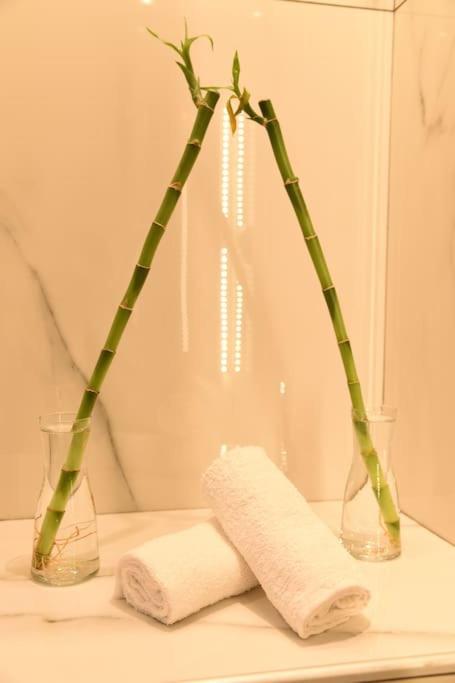 Syntagma Square, 30Sqm Nikis Luxurious Studio Athens Ngoại thất bức ảnh
